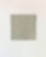 TEA.LEAF.TEXTILE.jpg
