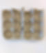 TEA.LEAF.TEXTILE.jpg