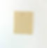 TEA.LEAF.TEXTILE.jpg