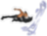 tigers04.png