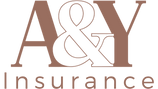LOGO YIDIS.png