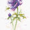 Thumbnail: Panna Cross Stitch Embroidery Kit - C-1966 The Anemone