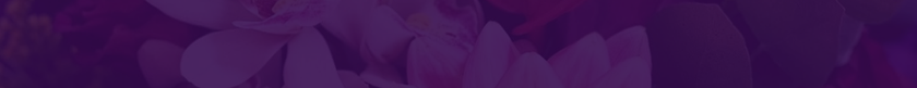 Design sem nome-14 - cópia 9.png