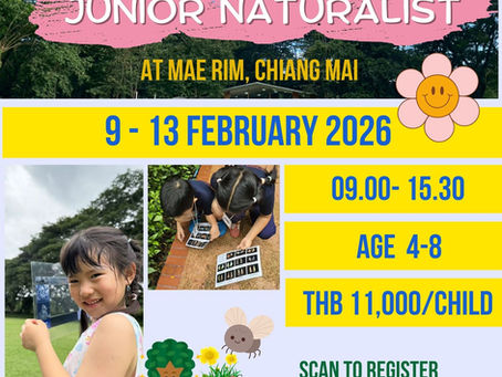 Traidhos Junior Winter Day Camp : Junior Naturalist Camp (9 - 13 February 2026)