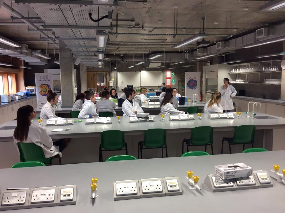 Cell EX UL training.jpg