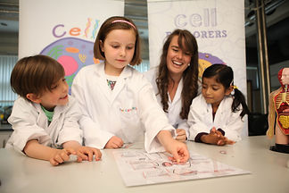 Human Body little cells 150731-0526_original.jpg
