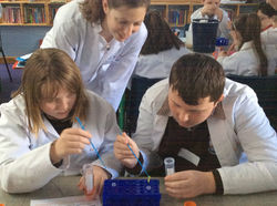 Scoil Ide, Corbally