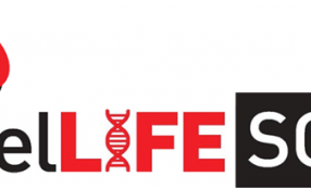 Public vote prize of €250 for ReelLife Science video. Vote Now!