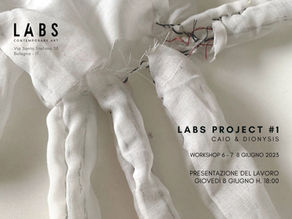 LABS PROJECT#1 Caio & Dionysis