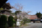 境内風景