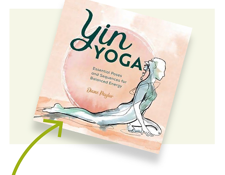 book image.png