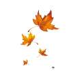 herfst.gif