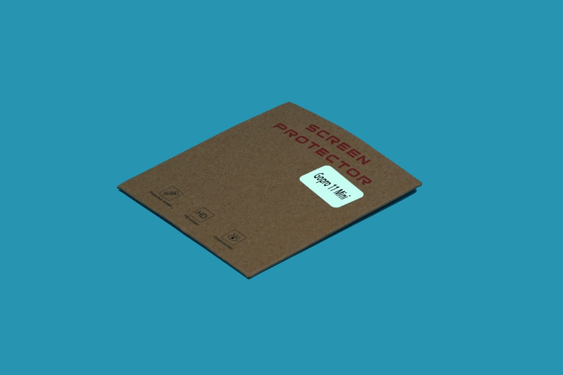 Schutz für Linse Hero 11 Mini