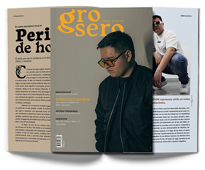 Revista 1.png