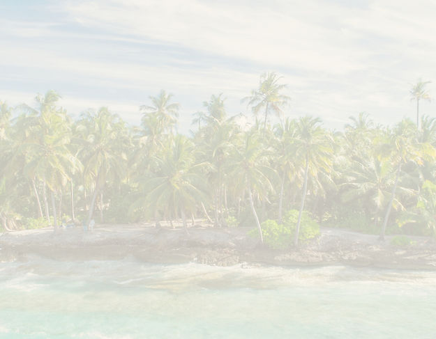 palm trees _edited_edited.jpg
