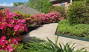 Spring Cleaning, Curb Appeal, Ground Cover Trimming