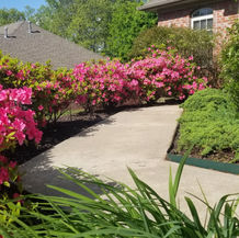 Spring Cleaning, Curb Appeal, Ground Cover Trimming
