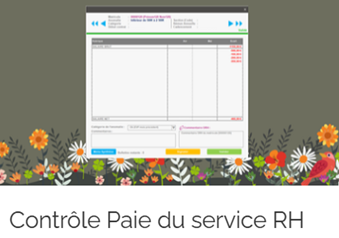 Trèfle Applications : optimisez votre gestion de la paie