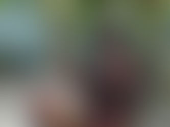 Senegal tour from February 2019