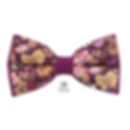 Noeud papillon violet et Liberty Pippa's