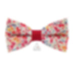 Noeud papillon rouge