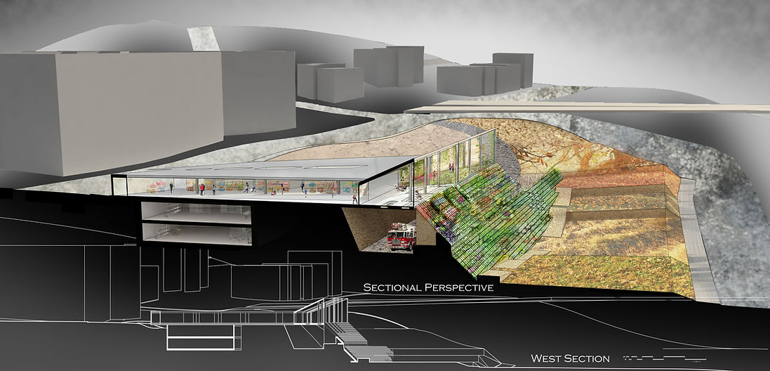 Sectional Perspective (ILL-Final).jpg