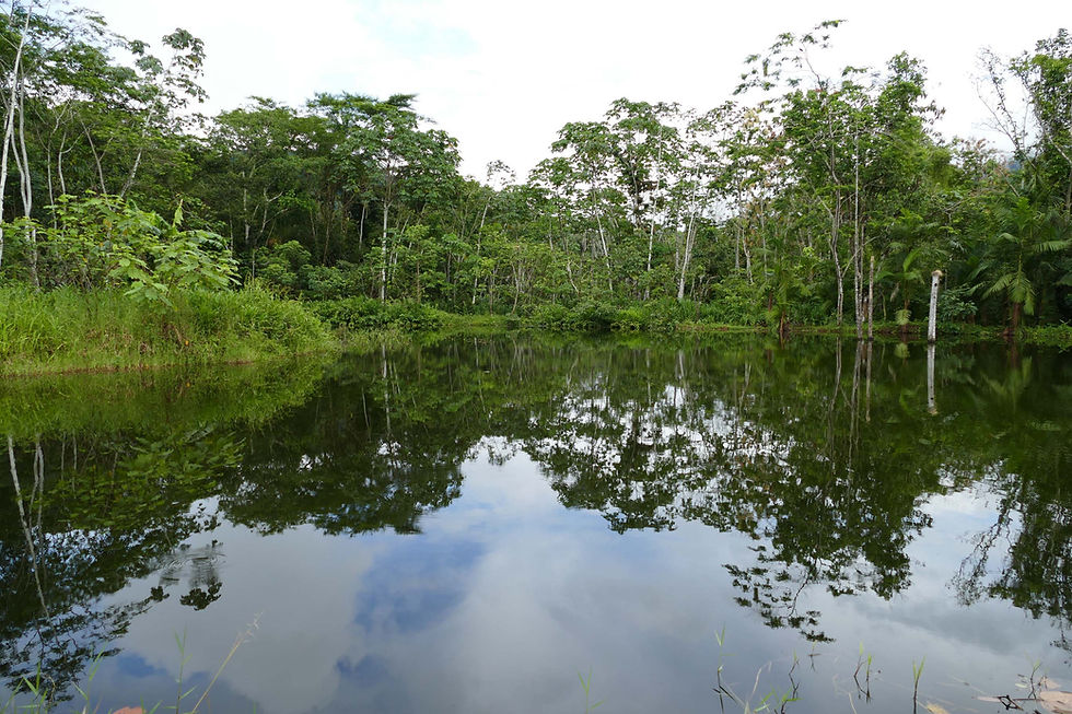Peru, Lake at Villa Carmen