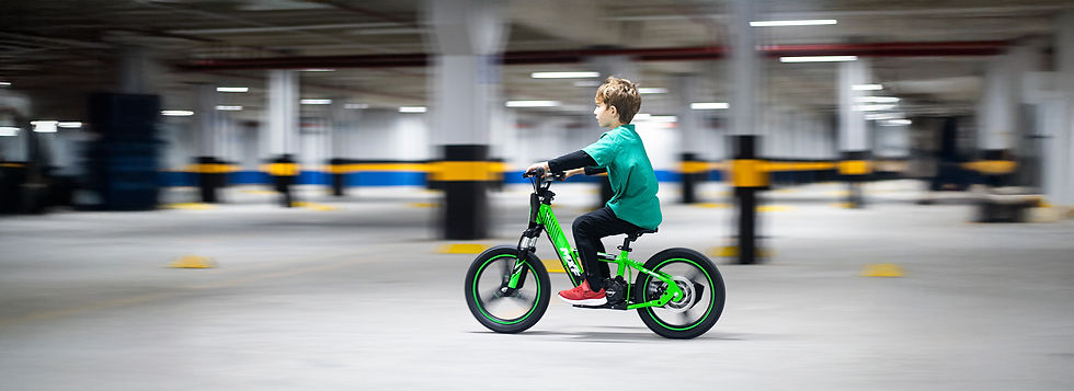E-biker 16 pro