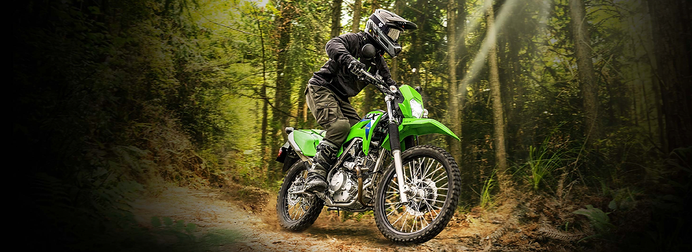 KLX 230