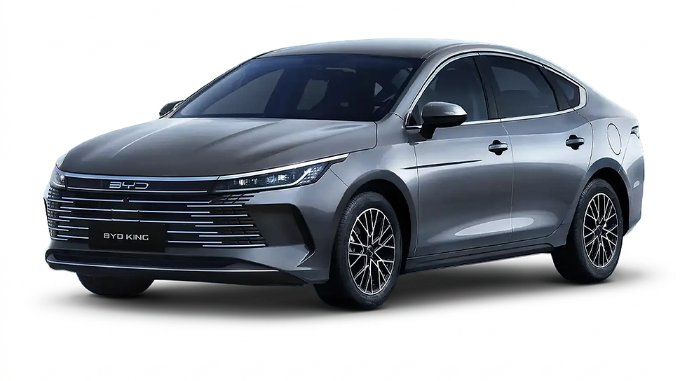 BYD King