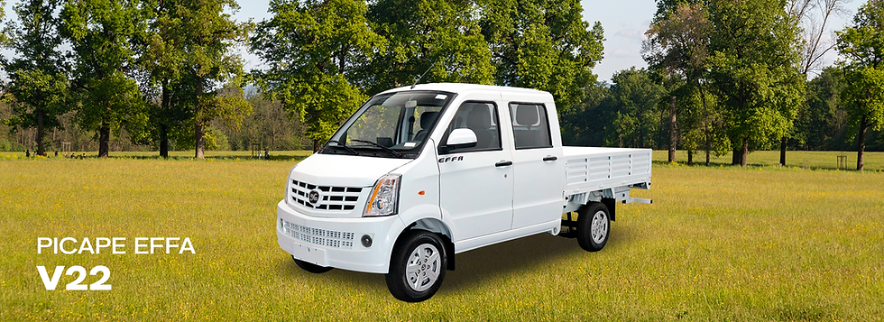 Picape V22