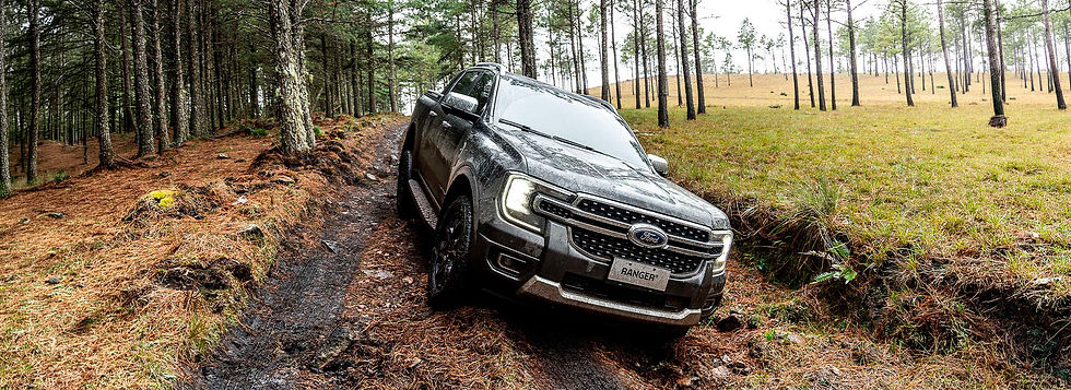Ranger Limited 3.0 V6