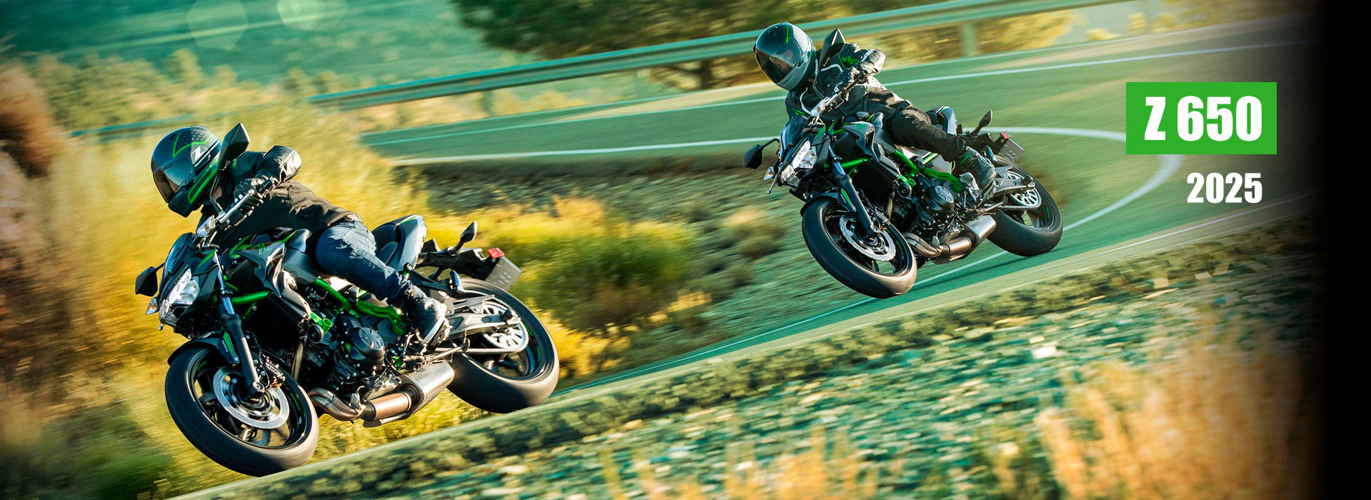 Z 650 | Consórcio Kawasaki Brasil