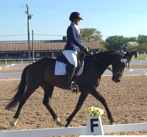 Gem dressage_edited.jpg