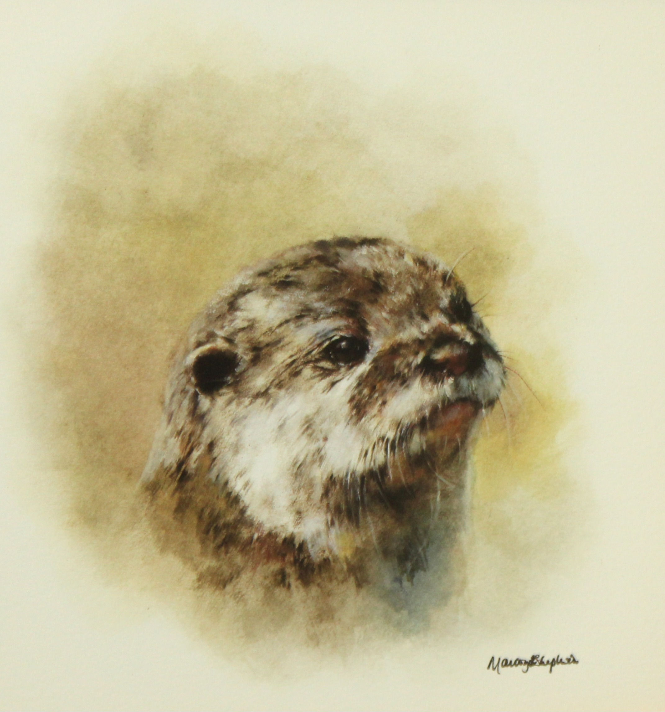 Mandy Shepherd (b.1960 )