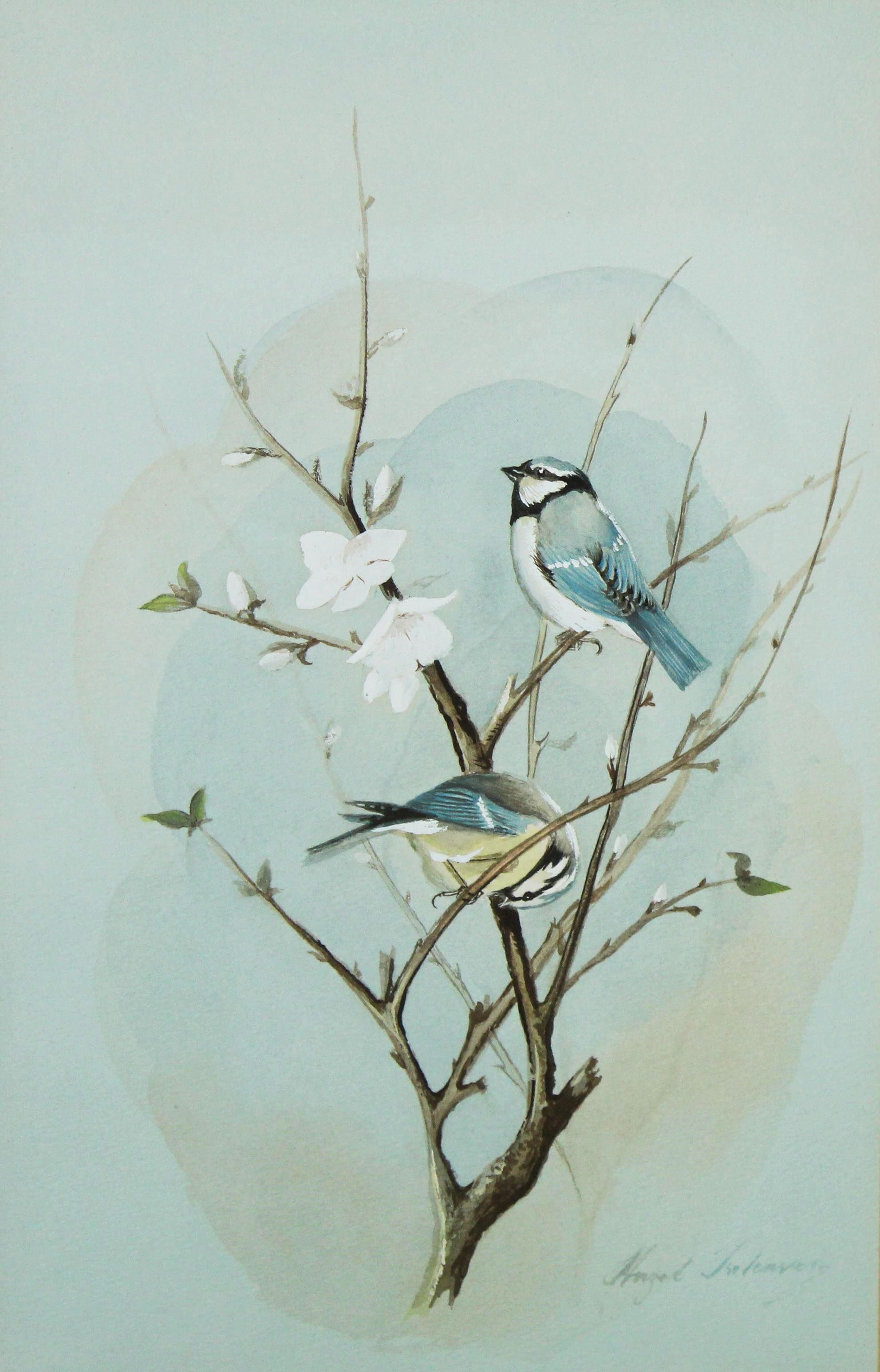 Hazel Treleaven (20th Century)