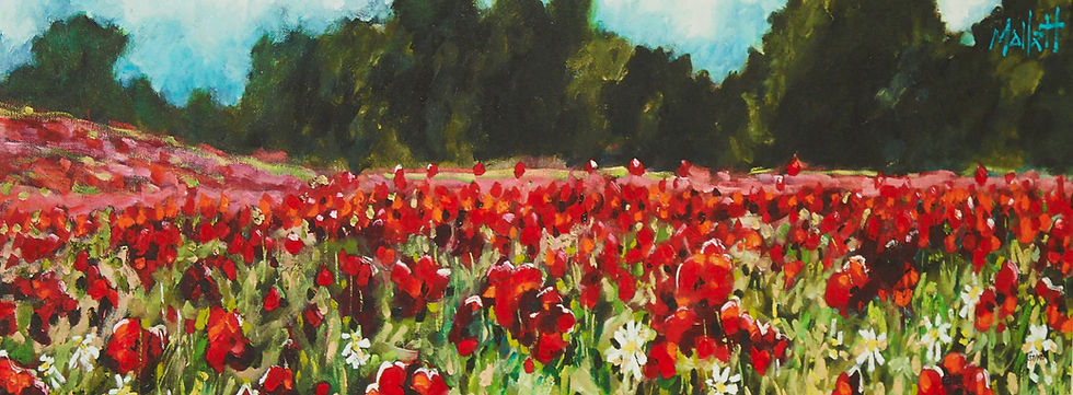 Timmy Mallett (b.1955 )