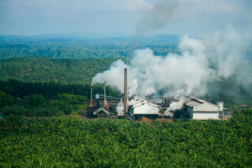 Ilustrasi limbah gas kelapa sawit_Mertani