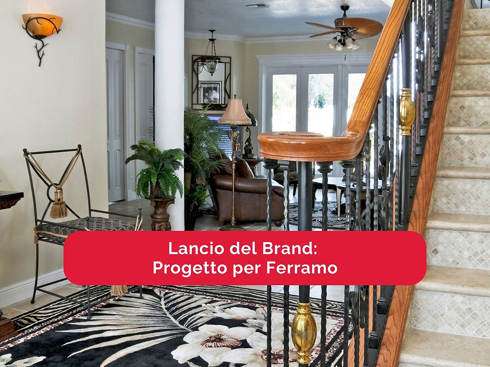 Brand Launch: Web Marketing Project for Ferramo