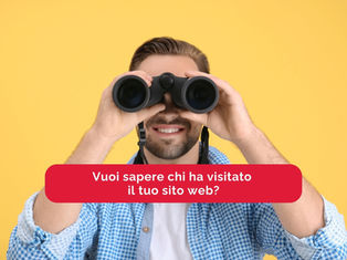 Linkedin Website Demographics, ovvero chi ha visitato il tuo sito web