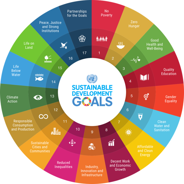 A graphic showing the UN sustainable development goals