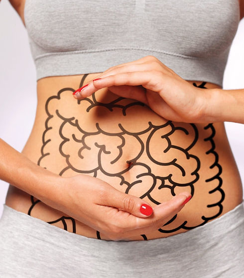 Gut Health