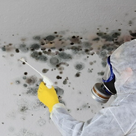 Screenshot 2022-07-25 225651.png