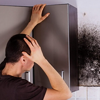 Screenshot 2022-07-25 150657.png