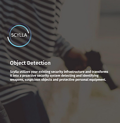 Object Detection.png