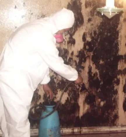 Screenshot 2022-08-04 044906.png