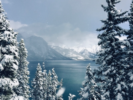 A winter landscape showing snow on trees.