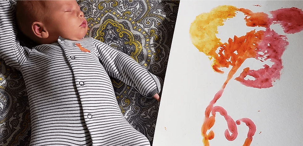 Placenta-Preparation-banner-1.png