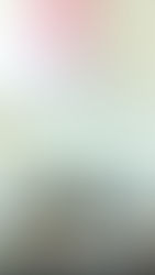 What to Do in the Grand Cayman Islands