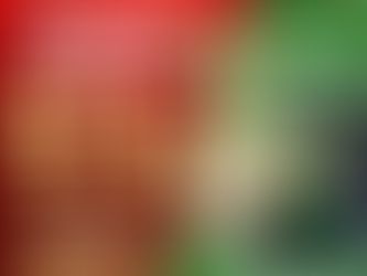 Promociones Navideñas Grupo Inmobiliario Chacón